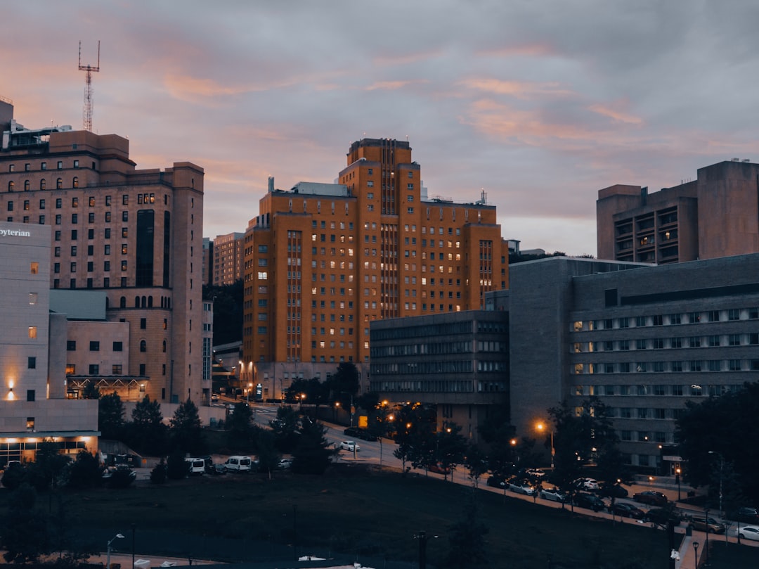 a view of a city at dusk from across the street